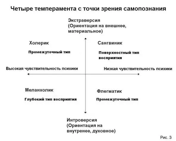 С точки зрения осознанности меланхолик лучший тип темперамента а сангвиник - фото 3