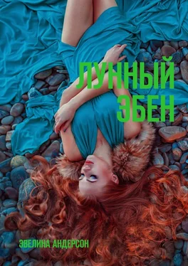 Эвелина Андерсон Лунный эбен обложка книги