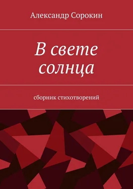 Александр Сорокин В свете солнца. Сборник стихотворений обложка книги