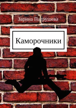 Зарина Патрушева Каморочники обложка книги