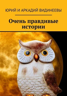 Юрий Видинеев Очень правдивые истории обложка книги