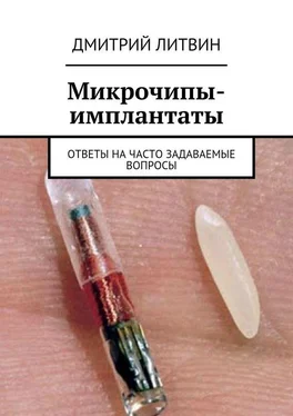 Дмитрий Литвин Микрочипы-имплантаты. Ответы на часто задаваемые вопросы обложка книги