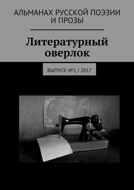 Илья Луданов Литературный оверлок. Выпуск №1 / 2017 обложка книги