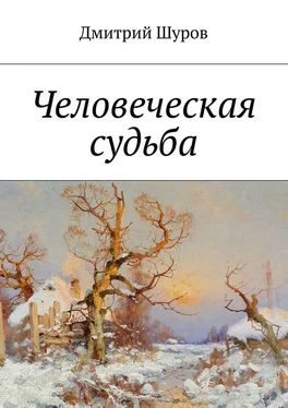 Дмитрий Шуров Человеческая судьба обложка книги