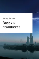 Виктор Доськов - Васек и принцесса