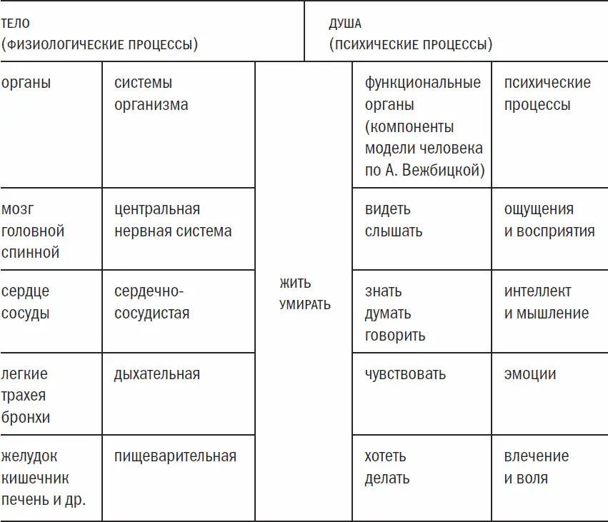 Схема 6 Антропология языковая модель человека В процессе развития - фото 15
