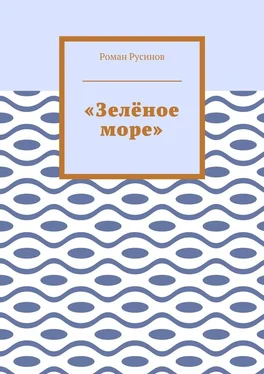 Роман Русинов «Зелёное море» обложка книги