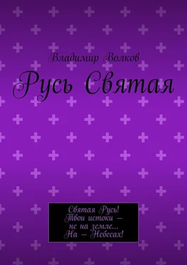 Владимир Волков Русь Святая обложка книги