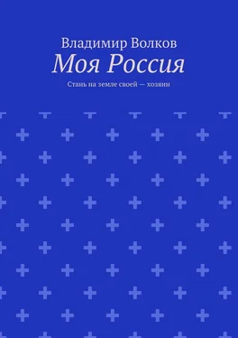 Владимир Волков Моя Россия. Стань на земле своей – хозяин обложка книги