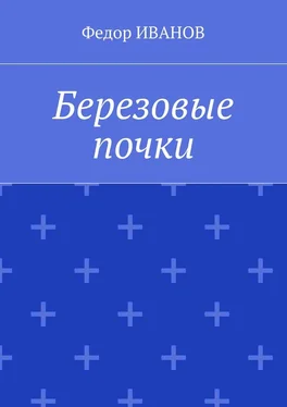 Федор Иванов Березовые почки обложка книги