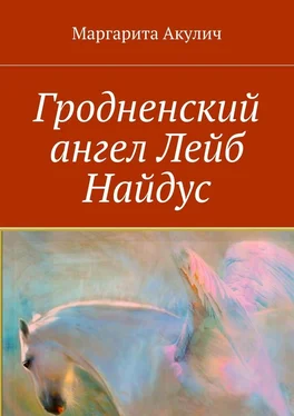 Маргарита Акулич Гродненский ангел Лейб Найдус обложка книги