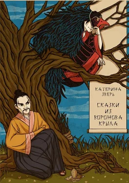 Катерина Зверь Сказки из воронова крыла обложка книги