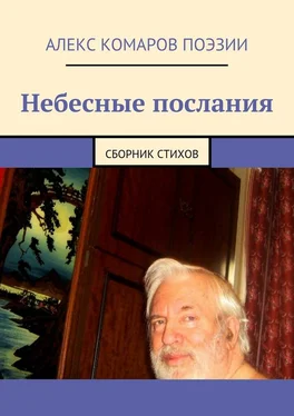 Алекс Комаров Поэзии Небесные послания. Сборник стихов обложка книги