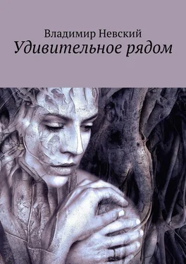 Владимир Невский Удивительное рядом обложка книги