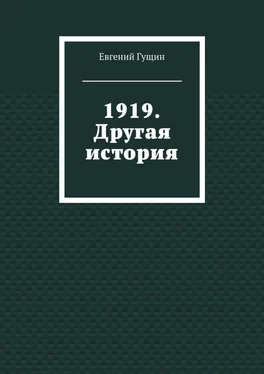 Евгений Гущин 1919. Другая история обложка книги