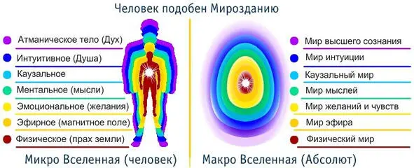 Человек и общество воспринимаются всегда в процессе становления На приведенных - фото 4