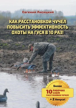 Евгений Лисицкий Как расстановкой чучел повысить эффективность охоты на гуся в 10 раз! обложка книги