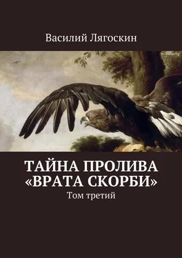 Василий Лягоскин Тайна пролива «Врата скорби». Том третий обложка книги