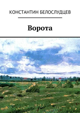 Константин Белослудцев Ворота обложка книги