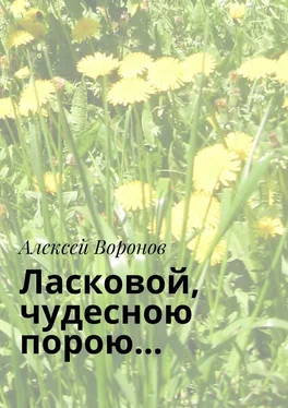 Алексей Воронов Ласковой, чудесною порою… обложка книги