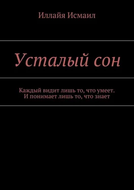 Иллайя Исмаил Усталый сон. Каждый видит лишь то, что умеет. И понимает лишь то, что знает обложка книги