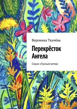 Вероника Ткачёва Перекрёсток Ангела. Серия «Лунный ветер» обложка книги