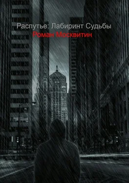 Роман Москвитин Распутье: лабиринт судьбы. Ошибки не всегда фатальны… обложка книги