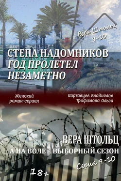 Владислав Картавцев Степа Надомников. Жизнь на чужбине. Год пролетел незаметно. Вера Штольц. А на воле – выборный сезон. Серия 9–10 (сборник) обложка книги