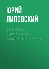 Юрий Липовский - В поисках диковинных камней Гипербореи