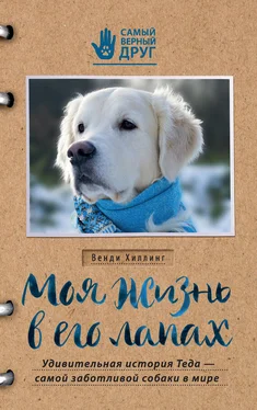 Венди Хиллинг Моя жизнь в его лапах. Удивительная история Теда – самой заботливой собаки в мире обложка книги