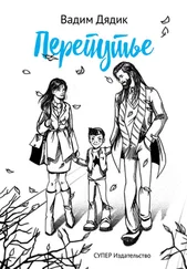 Вадим Дядик - Перепутье (сборник)