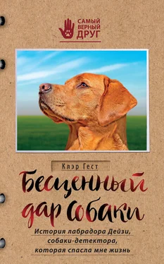 Клэр Гест Бесценный дар собаки. История лабрадора Дейзи, собаки-детектора, которая спасла мне жизнь обложка книги