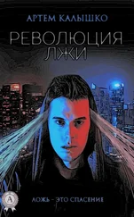 Артем Калышко - Революция лжи