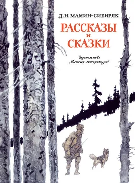 Дмитрий Мамин-Сибиряк Рассказы и сказки обложка книги