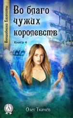 Олег Ткачёв - Во благо чужих королевств