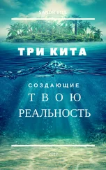 Sandr Fill - Три кита, создающие твою реальность