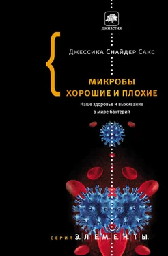 Джессика Сакс Микробы хорошие и плохие. Наше здоровье и выживание в мире бактерий обложка книги