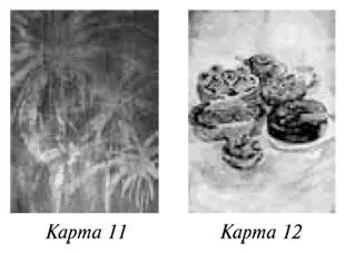 Рисунок 6 Выбранные клиенткой ресурсные карты 11 12 К Этот фейерверк - фото 27
