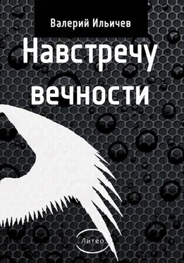 Валерий Ильичев Навстречу Вечности (сборник) обложка книги