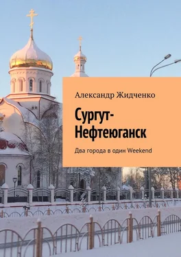 Александр Жидченко Сургут-Нефтеюганск. Два города в один Weekend обложка книги