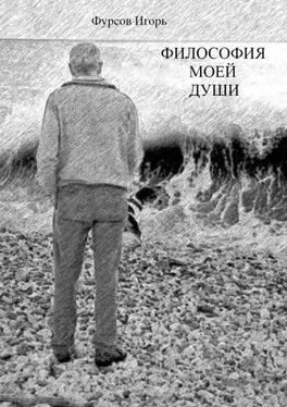 Игорь Фурсов Философия моей души обложка книги