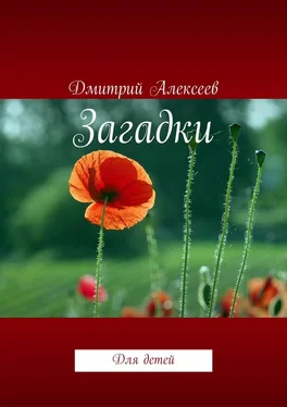 Дмитрий Алексеев Загадки. Для детей обложка книги