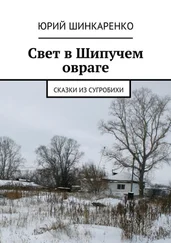 Юрий Шинкаренко - Свет в Шипучем овраге. Сказки из Сугробихи