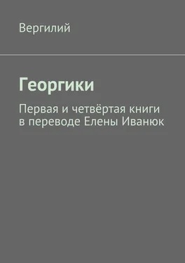 Вергилий Георгики. Первая и четвёртая книги в переводе Елены Иванюк обложка книги