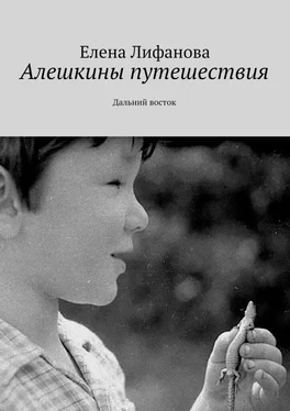 Елена Лифанова Алешкины путешествия. Дальний восток обложка книги