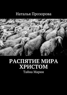 Наталья Прозорова Распятие мира Христом. Тайна Марии обложка книги