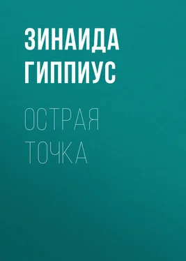 Зинаида Гиппиус Острая точка обложка книги