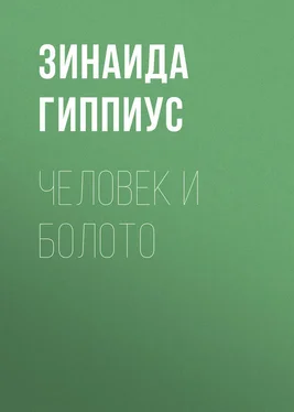 Зинаида Гиппиус Человек и болото обложка книги