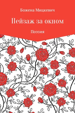 Божена Мицкевич Пейзаж за окном обложка книги