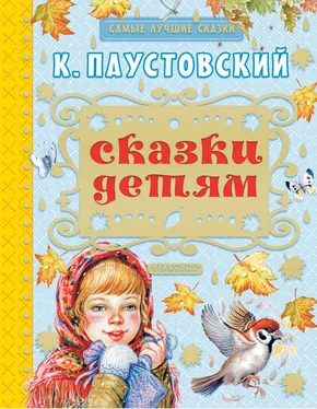 Константин Паустовский Сказки детям (сборник) обложка книги